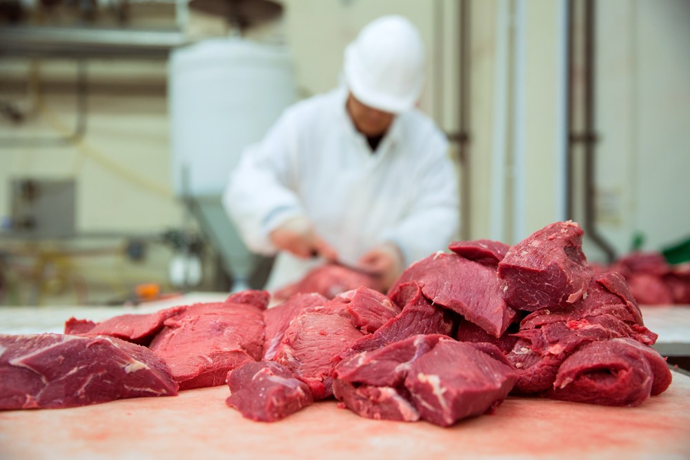 Work with reputable bulk meat suppliers