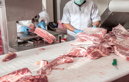 What are the mistakes during the building phase of a meat processing plant?